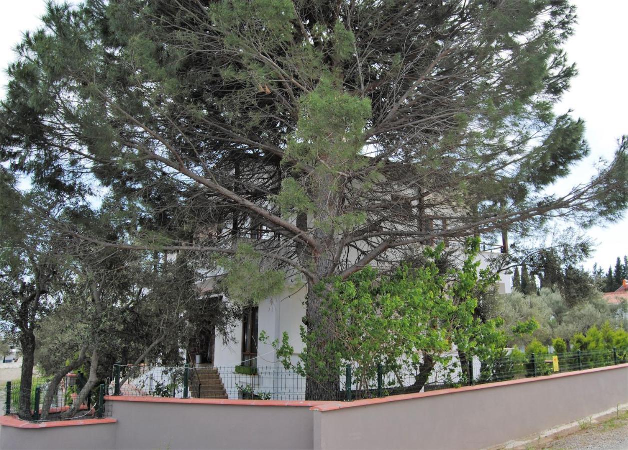 Beyaz Konak Guere Экстерьер фото